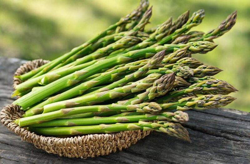 The Best Asparagus Substitutes - 10 Delicious Alternatives to Try