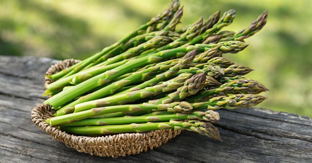 The Best Asparagus Substitutes - 10 Delicious Alternatives to Try