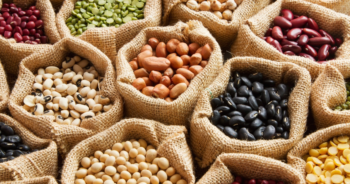 Beans, Legumes - The complete buyer's guide