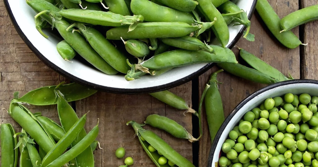 Green peas - legumes guide