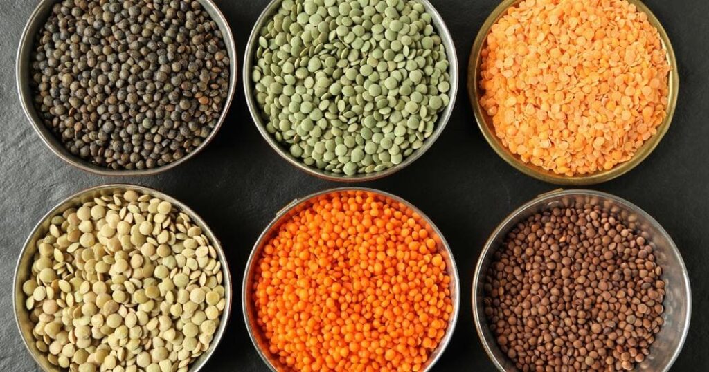 Lentil types