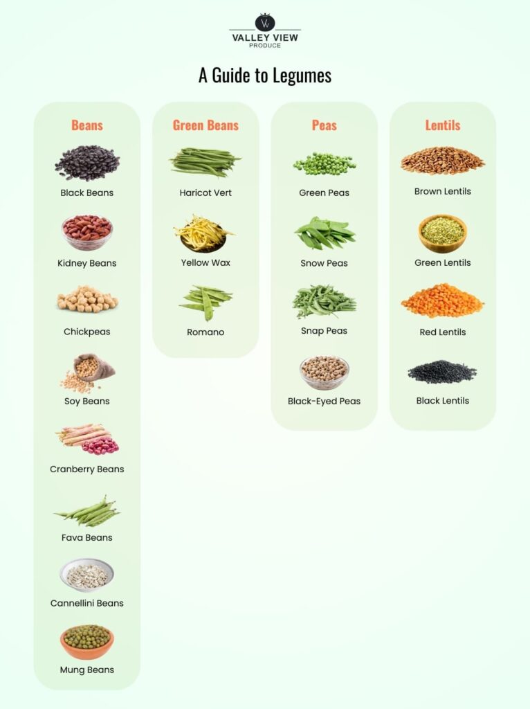 Types of legumes